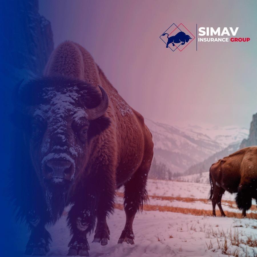 Modern medical facility